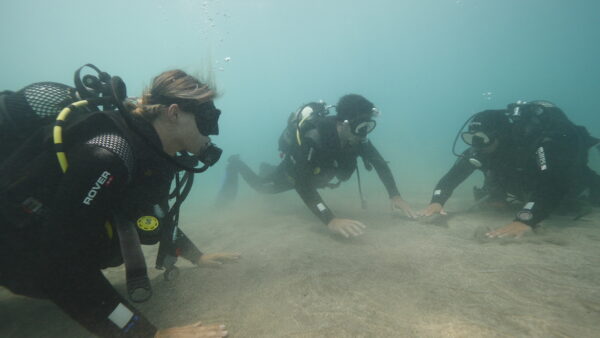 BEGINNER DIVING – DISCOVER A WHOLE NEW UNDERWATER WORLD - Image 3