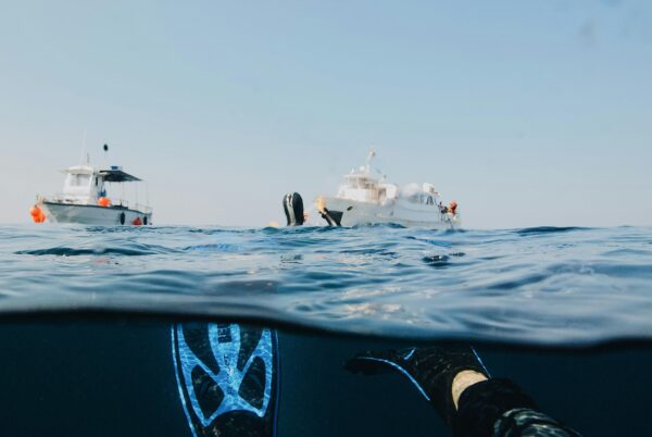 ADVANCED DIVING – DISCOVER THE UNDERWATER SECRETS OF TENERIFE - Image 2