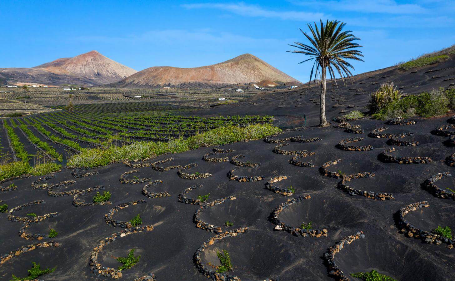 Lanzarote z Fuerteventury