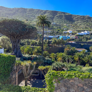 Teide, Maska, Icod de los Vinos