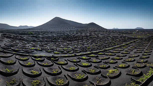 Lanzarote z Fuerteventury