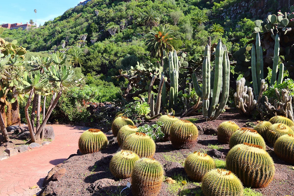 Gran Canaria Must See – wschodnia część wyspy
