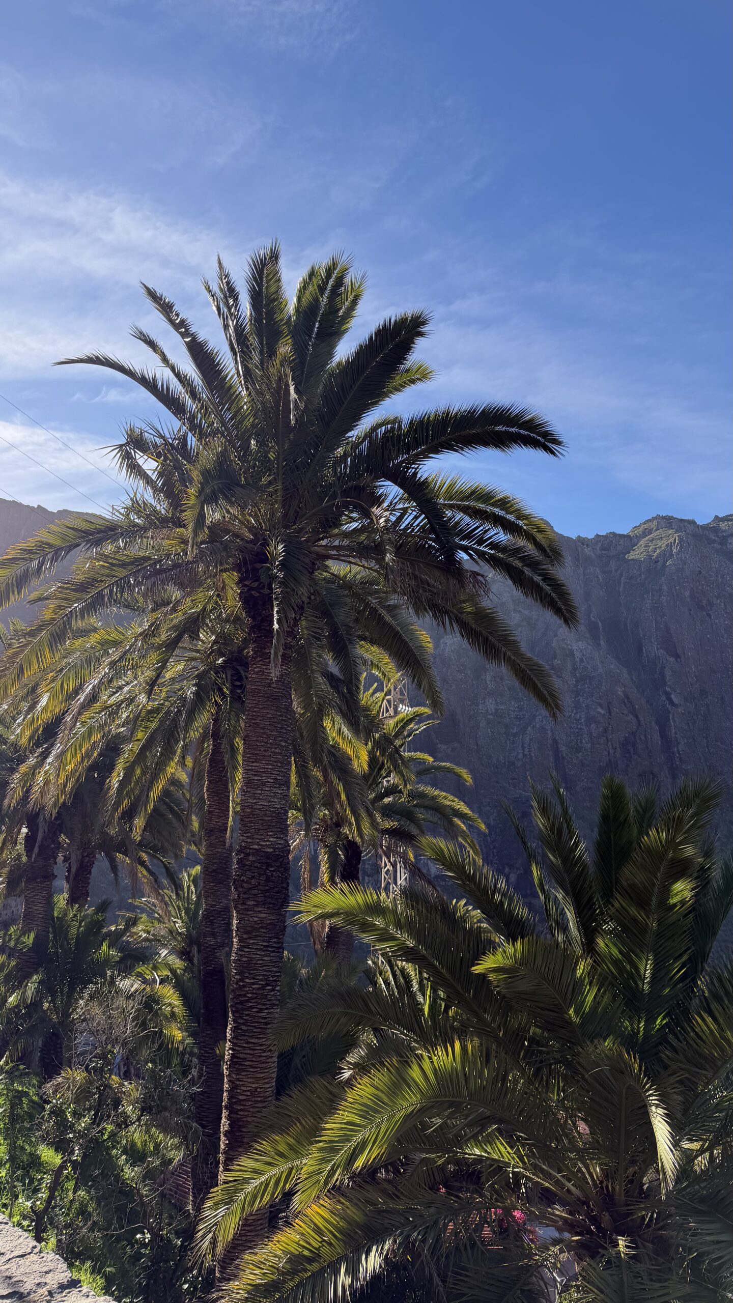 Ekskluzywna wycieczka do Teide i Maski