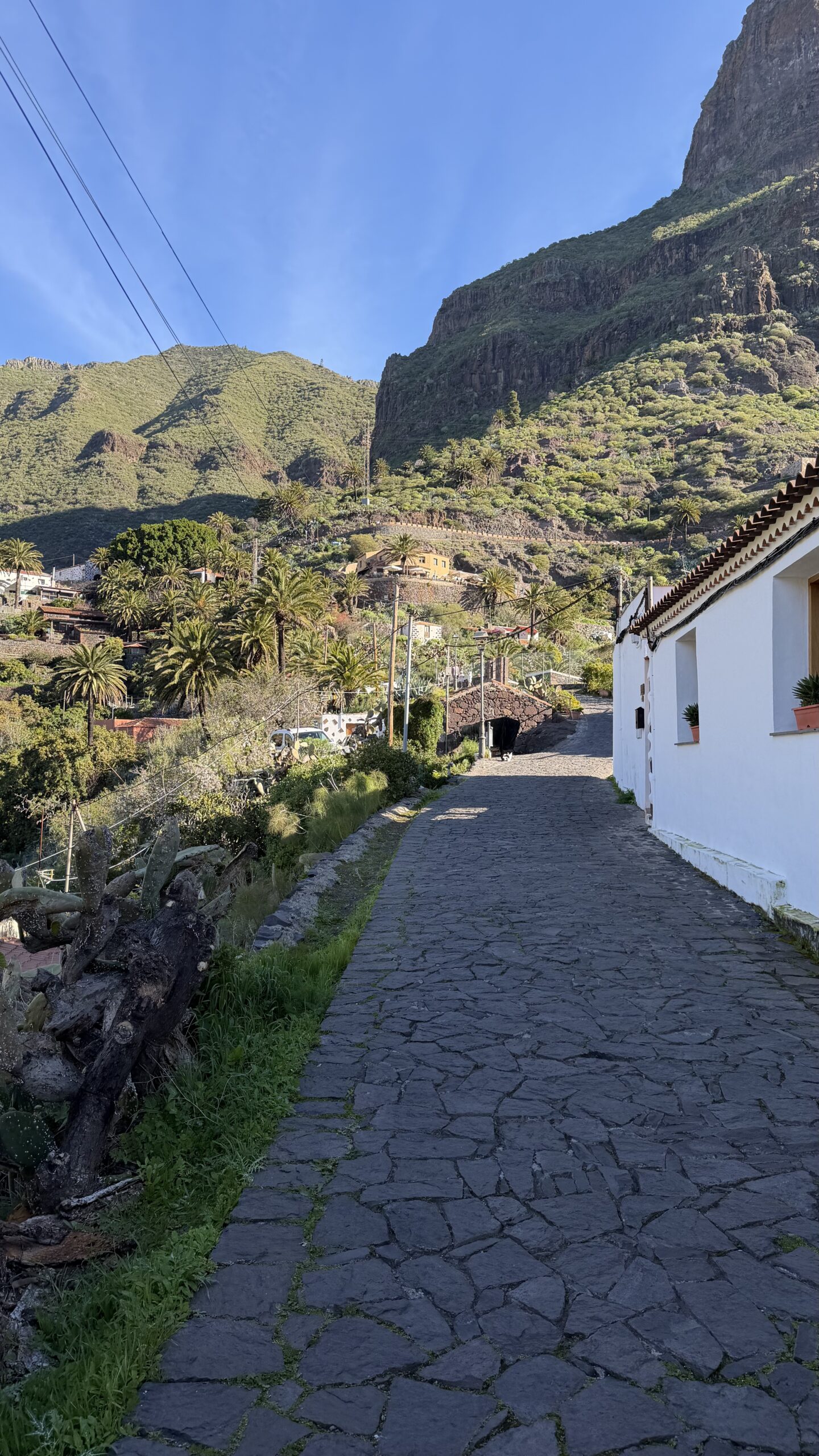 Ekskluzywna wycieczka do Teide i Maski